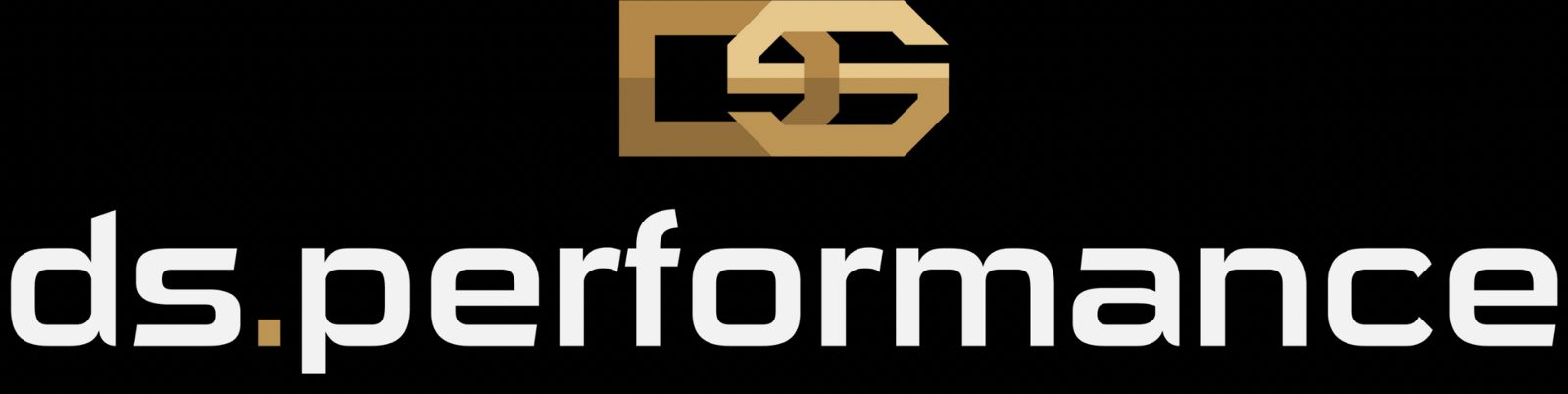 DS Performance Assessoria de Marketing
